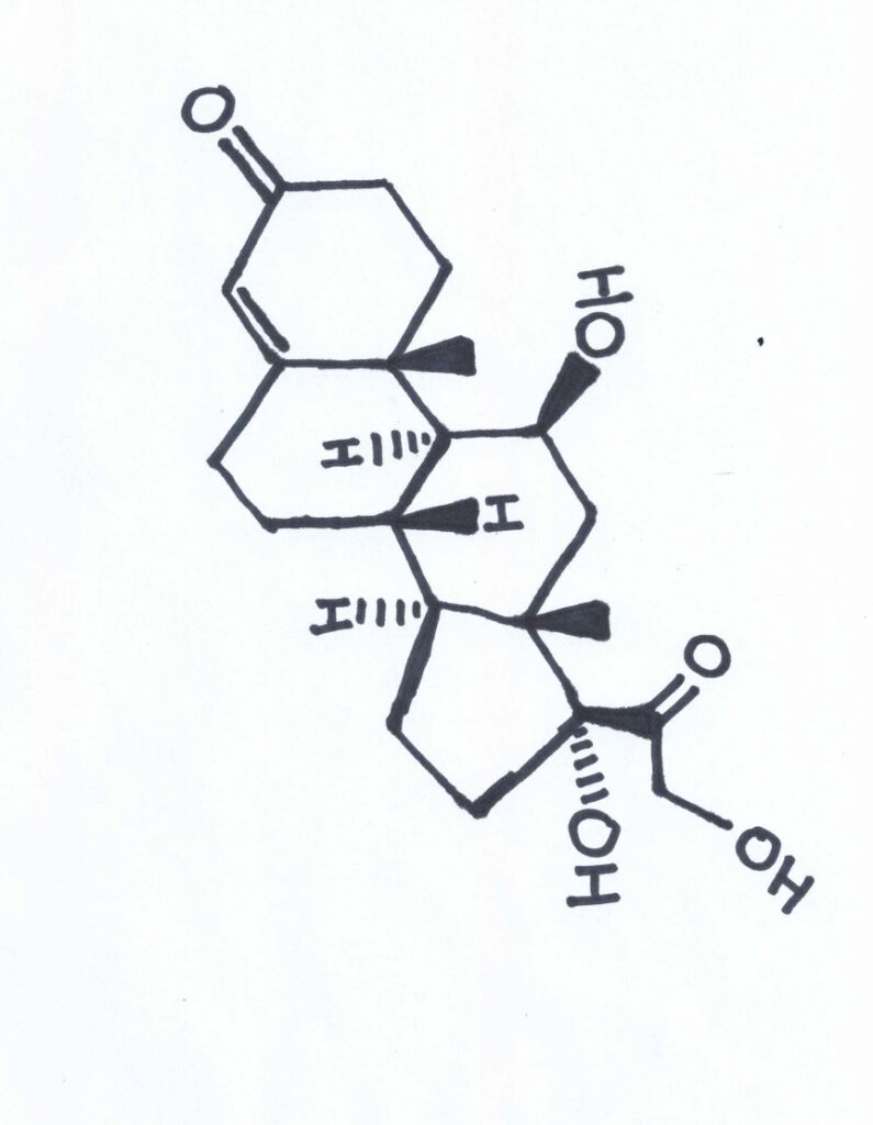 Chemical Structure of Cortisol